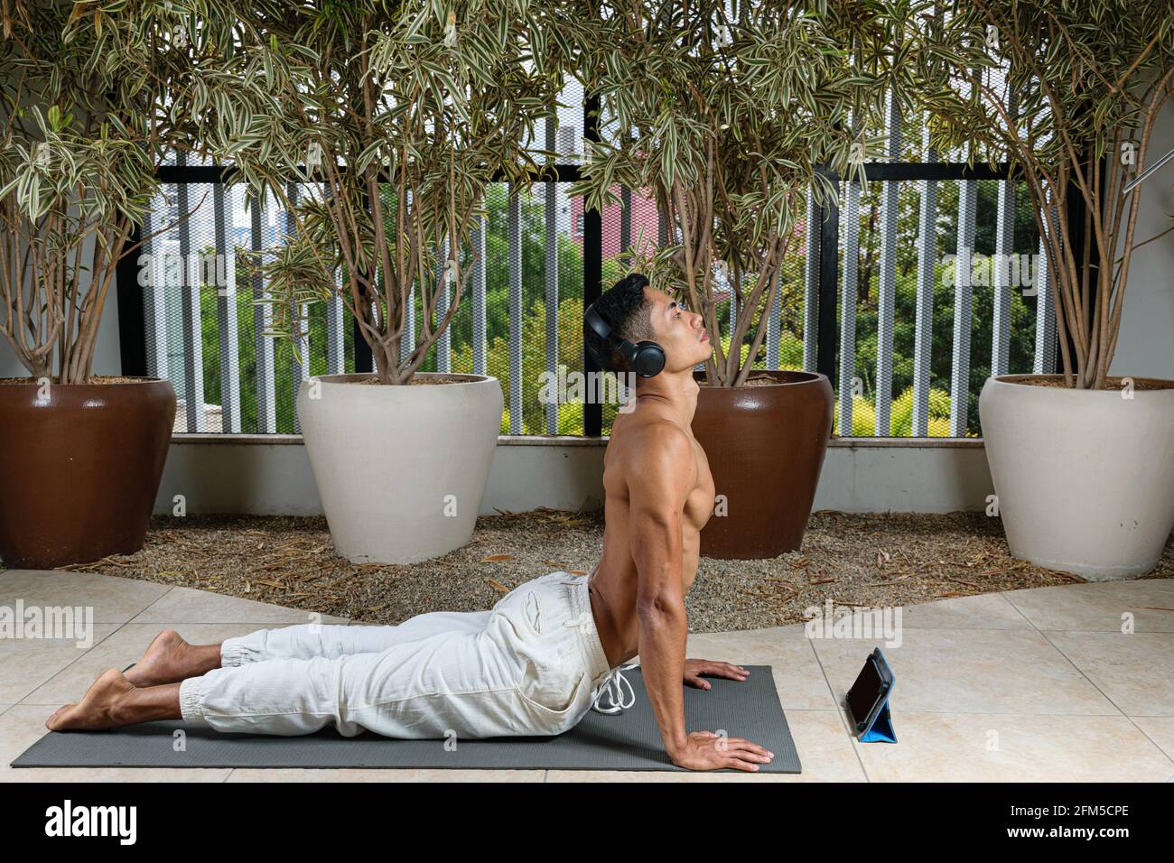 Der junge Brasilianer nimmt mit dem Kopftelefon an einem Online-Yoga-Kurs in der nach oben gerichteten Hundeyogaposition Teil. Stockfoto