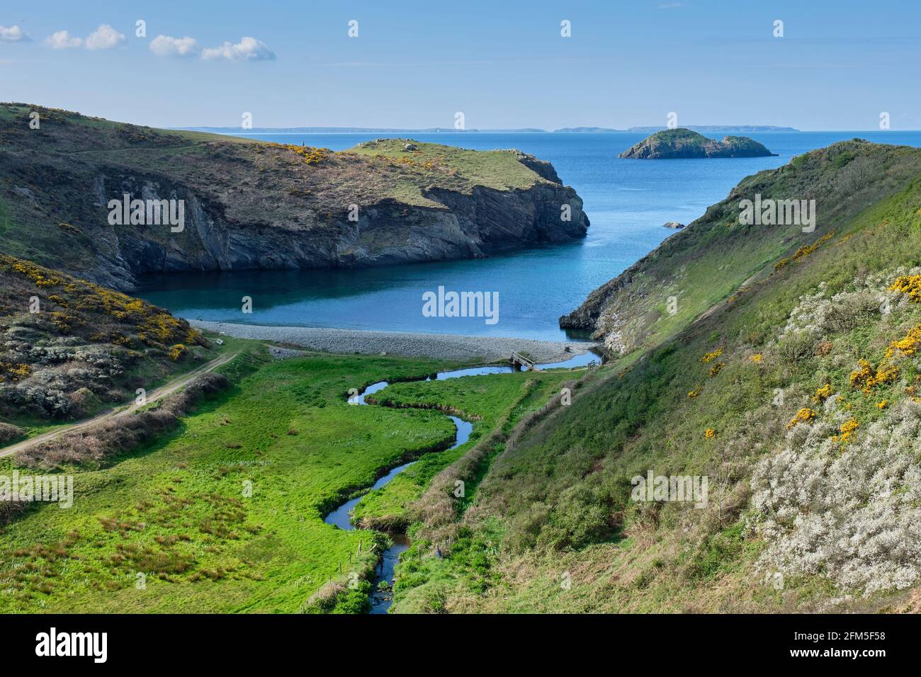 Gwadn Bay, mit Blick auf Green Scar und Skomer Island, in Solva, Pembrokeshire, Wales Stockfoto