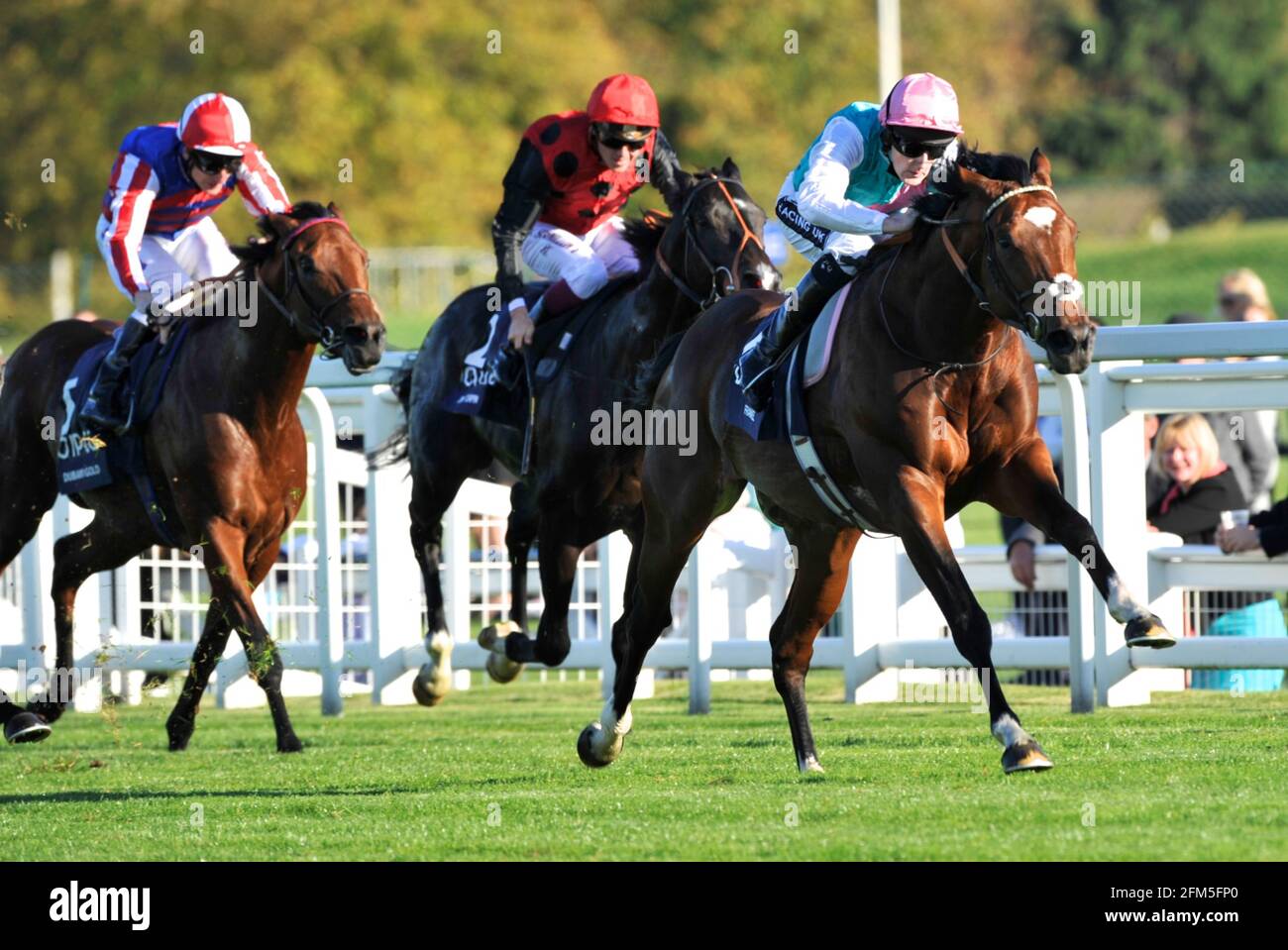 ASCOT RENNEN DIE KÖNIGIN ELIZABETH 2ND EINSÄTZE TOM QUEALLY AUF FRANKEL AUF SEINEM WEG ZUM SIEG. 15/10/11 BILD DAVID ASHDOWN Stockfoto