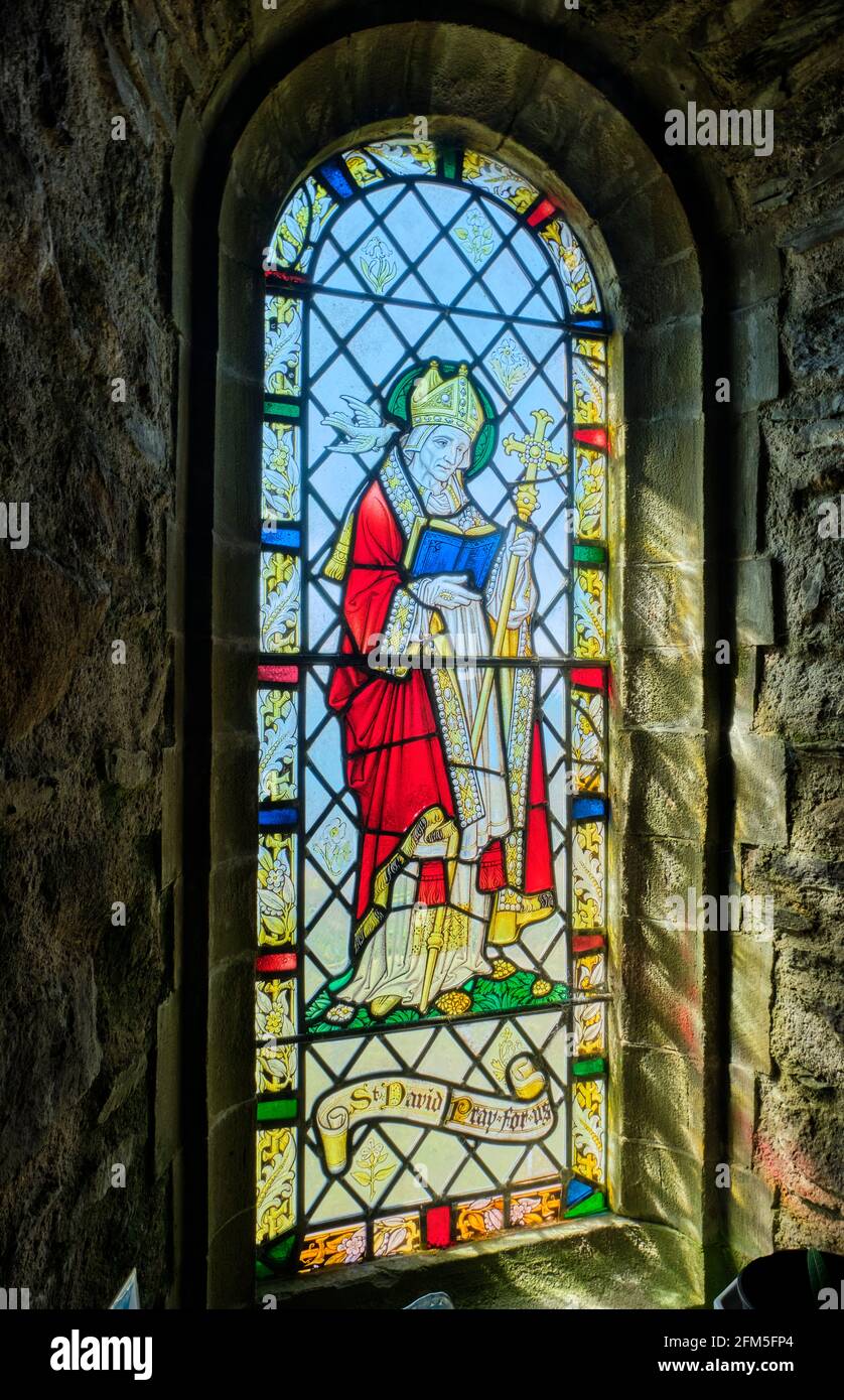 Buntglasfenster von St. David in Chapel of Our Lady und St. Non, in der Nähe von St. David's, Pembrokeshire, Wales Stockfoto