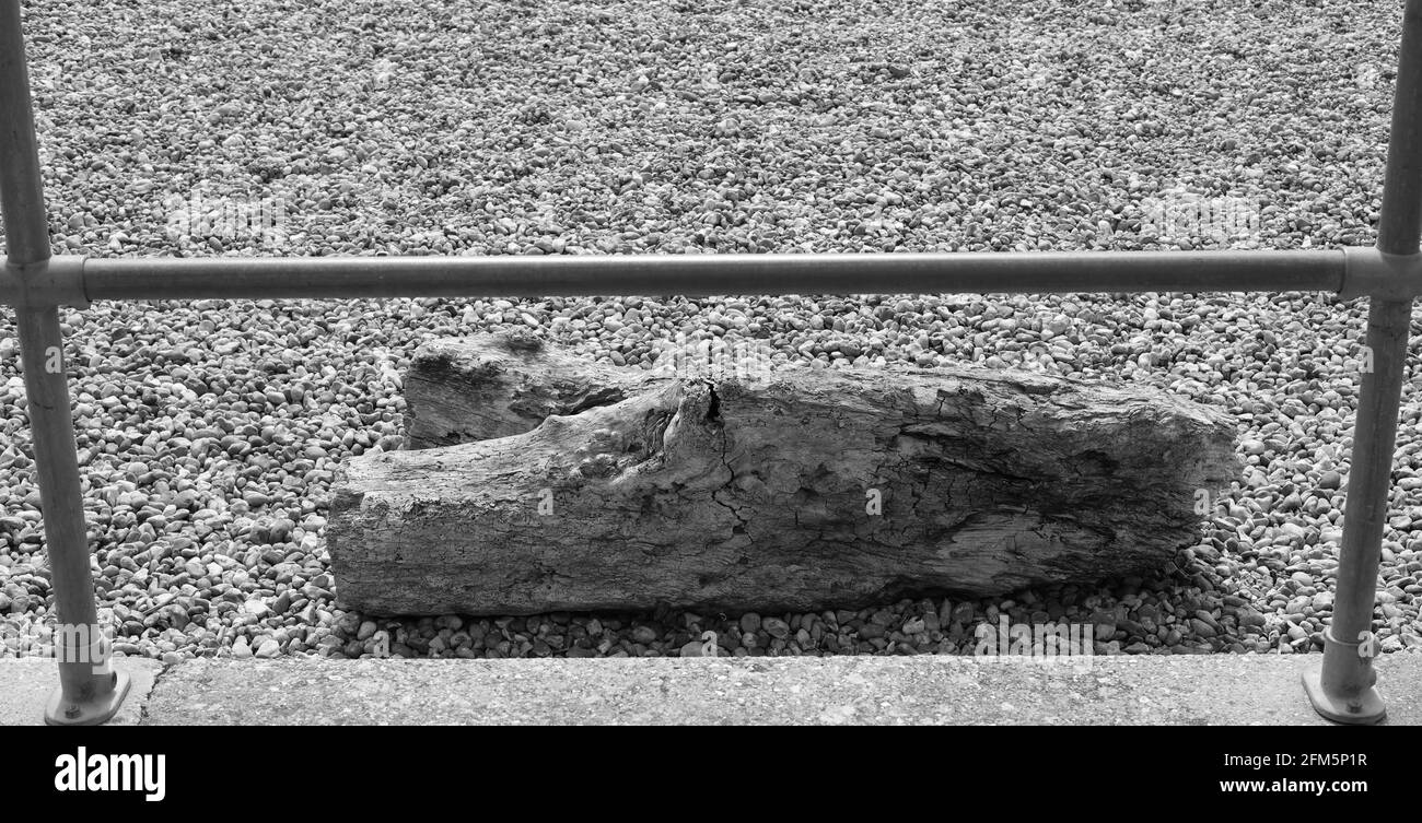 Nahaufnahme eines Logs auf Schindel. Stockfoto
