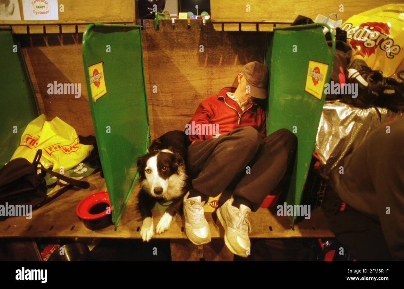 1. Tag der verschobenen Crufts-Hundeausstellung am 2001. Mai im NEC Birmingham. Dennis McAulay mit seinem arbeitenden Schäferhund Ned Stockfoto