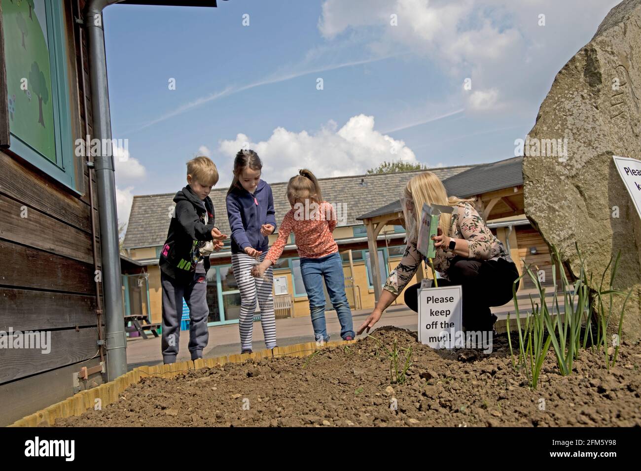Grundschüler Pflanzen Wildblumensamen Mickleton School UK Stockfoto