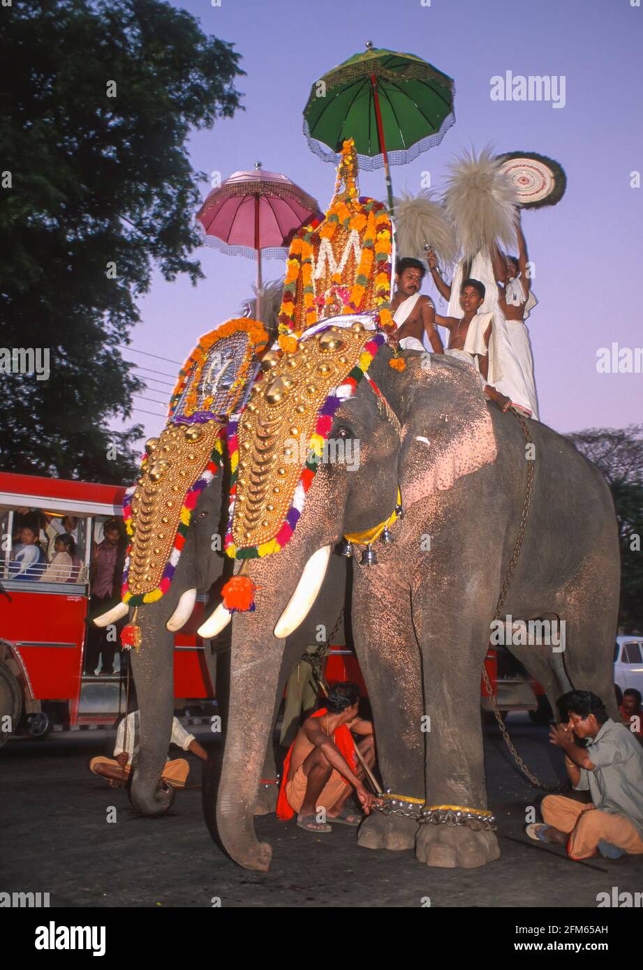 COCHIN, KERALA, INDIEN - hinduistische religiöse Prozession mit vergoldeten Elefanten auf den Straßen von Cochin, Ernakulam Bezirk. Stockfoto