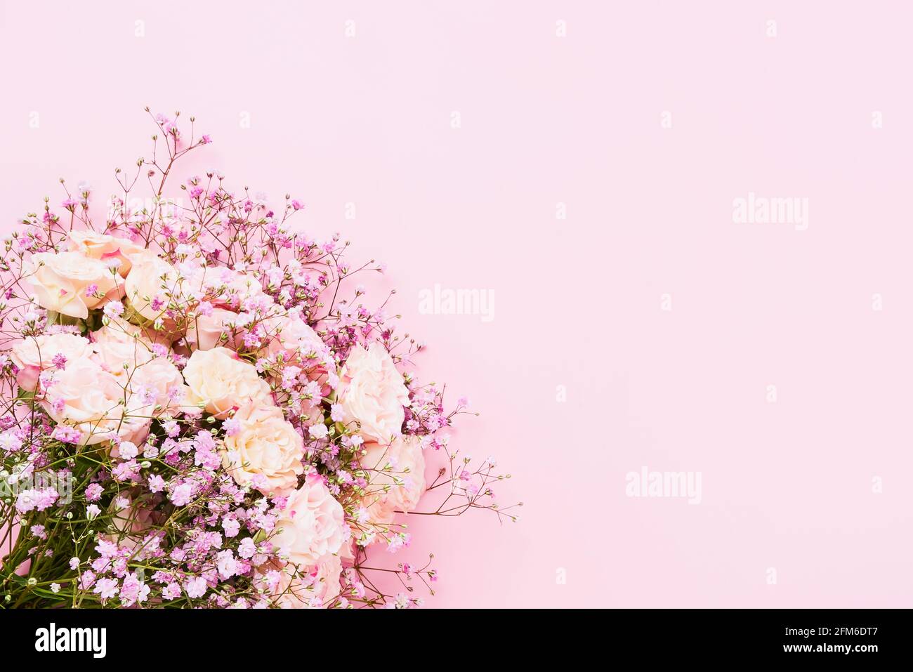 Rosa Rosen und Gypsophila Blumen Bouquet auf einem rosa Hintergrund, selektiver Fokus. Muttertag, Geburtstagsfeier Konzept. Draufsicht, Kopierbereich Stockfoto