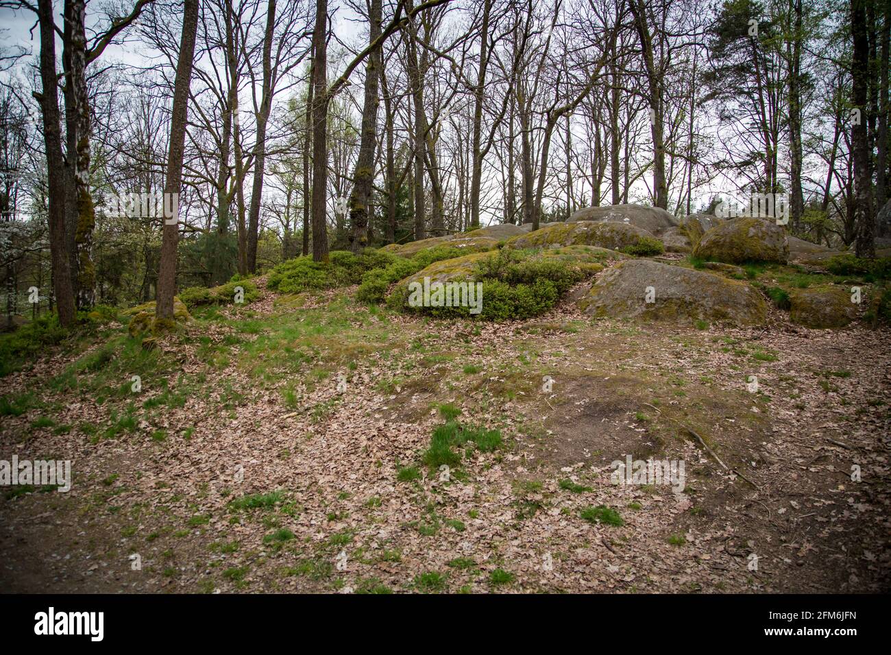 Felsen in der Blockheide, einem Naturpark in Gmünd, Waldviertel ...