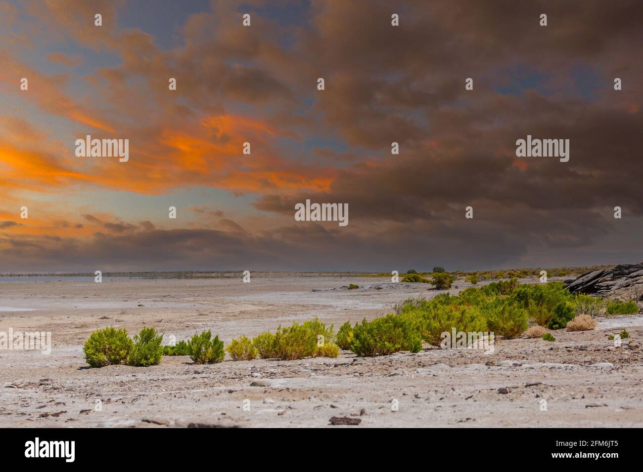 Sonnenuntergang Halligan Bay auf Kati Thanda – Lake Eyre im Outback von South Australia mit Felsen, Büschen und Sand im Vordergrund vor einem Hintergrund Stockfoto