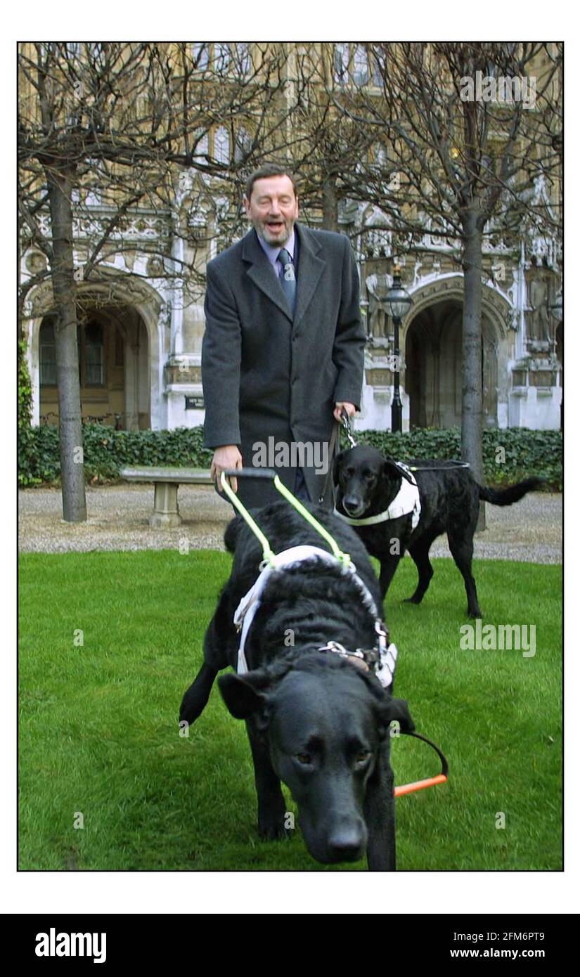 David Blunkett mit der zurückgetretenen Führhündin Lucy und dem neuen Führhund Sadie, die Mr. Blunketts entkommen ist, greifen kurz auf, um das Gelände von Westminster bei einer Fotozelle zu erkunden, die Sadie der Presse vorstellt. Bild David Sandison 24/1/2002 Stockfoto