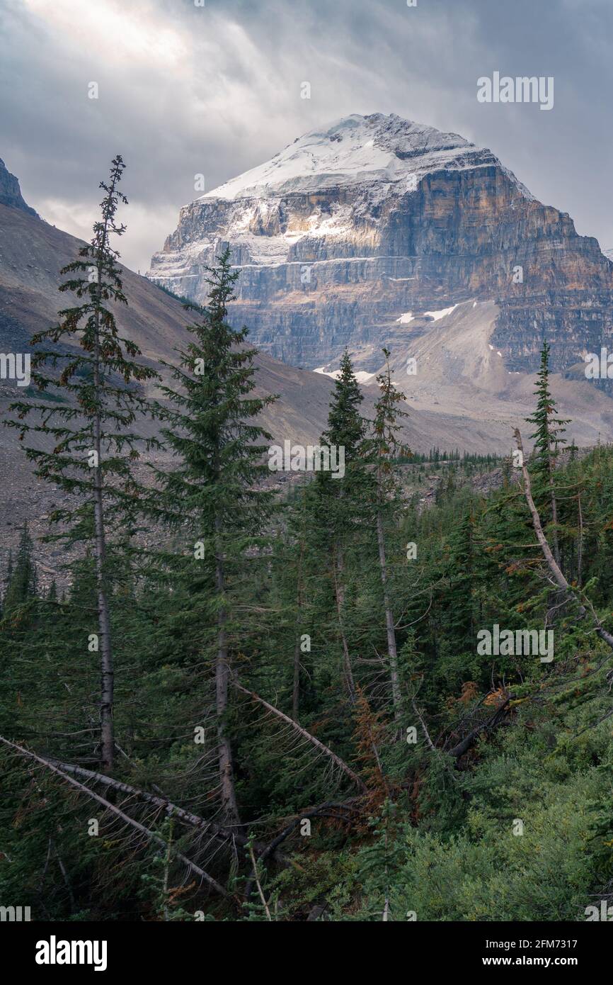 Lefroy Peak in den kanadischen Rockies, beleuchtet von Sonnenlicht an sonst bewölkten Tagen. Mt.Lefroy von der Plain of Six Glaciers Trail, Banff National Park, Stockfoto