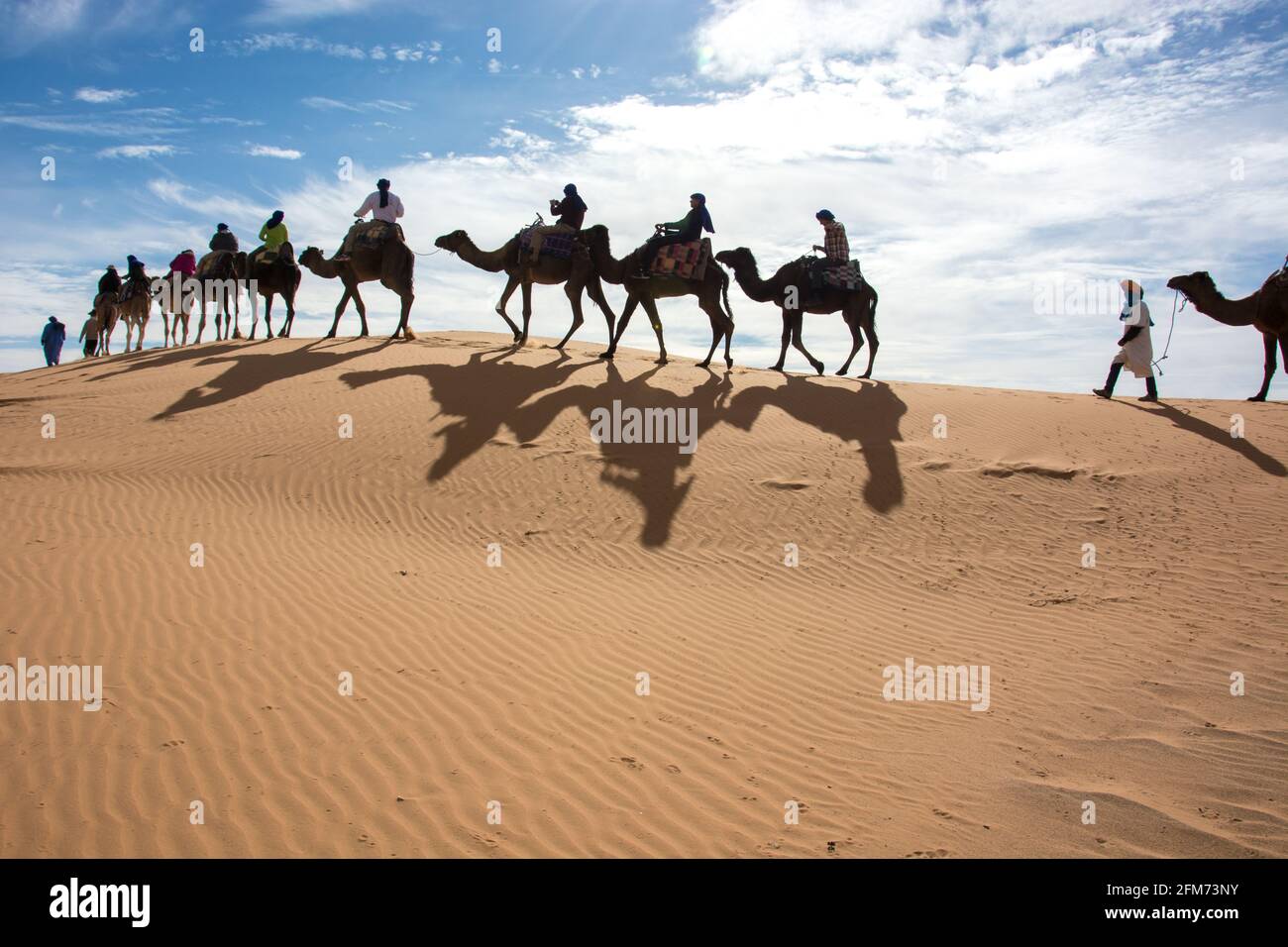 Kamelkarawane in der Sahara Wüste, Marokko Stockfoto