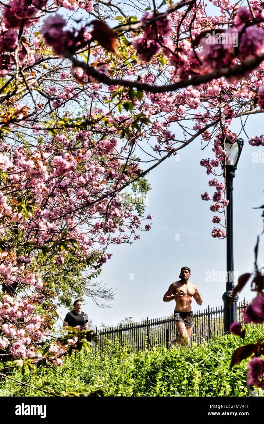 Stephanie und Fred Shuman laufen auf einem sonnigen Frühlingstag, NYC, USA Stockfoto