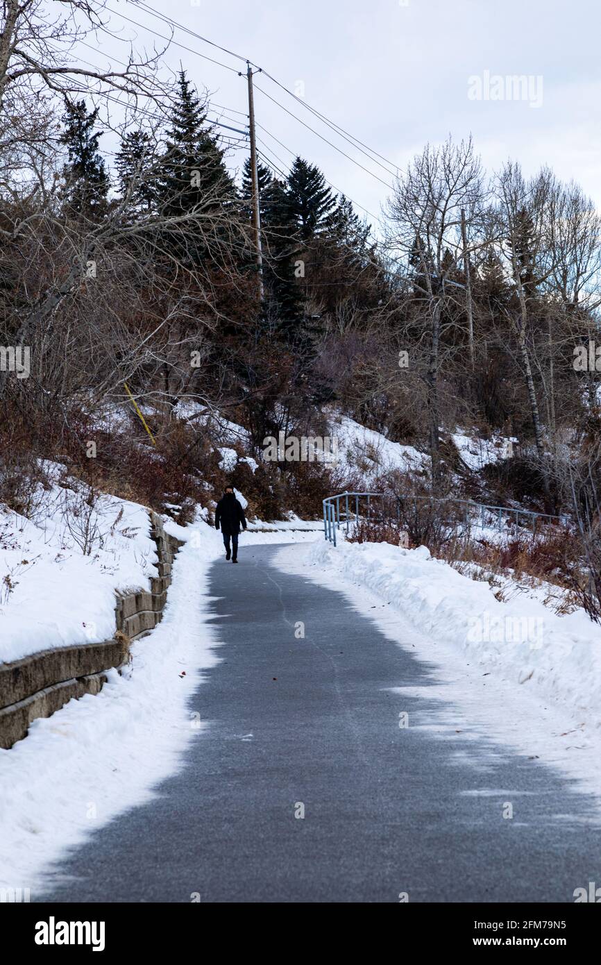 Winterspaziergang, Fußgängerspaziergang entlang des Elbow River Pathway, Calgary, Alberta, Kanada. Stockfoto