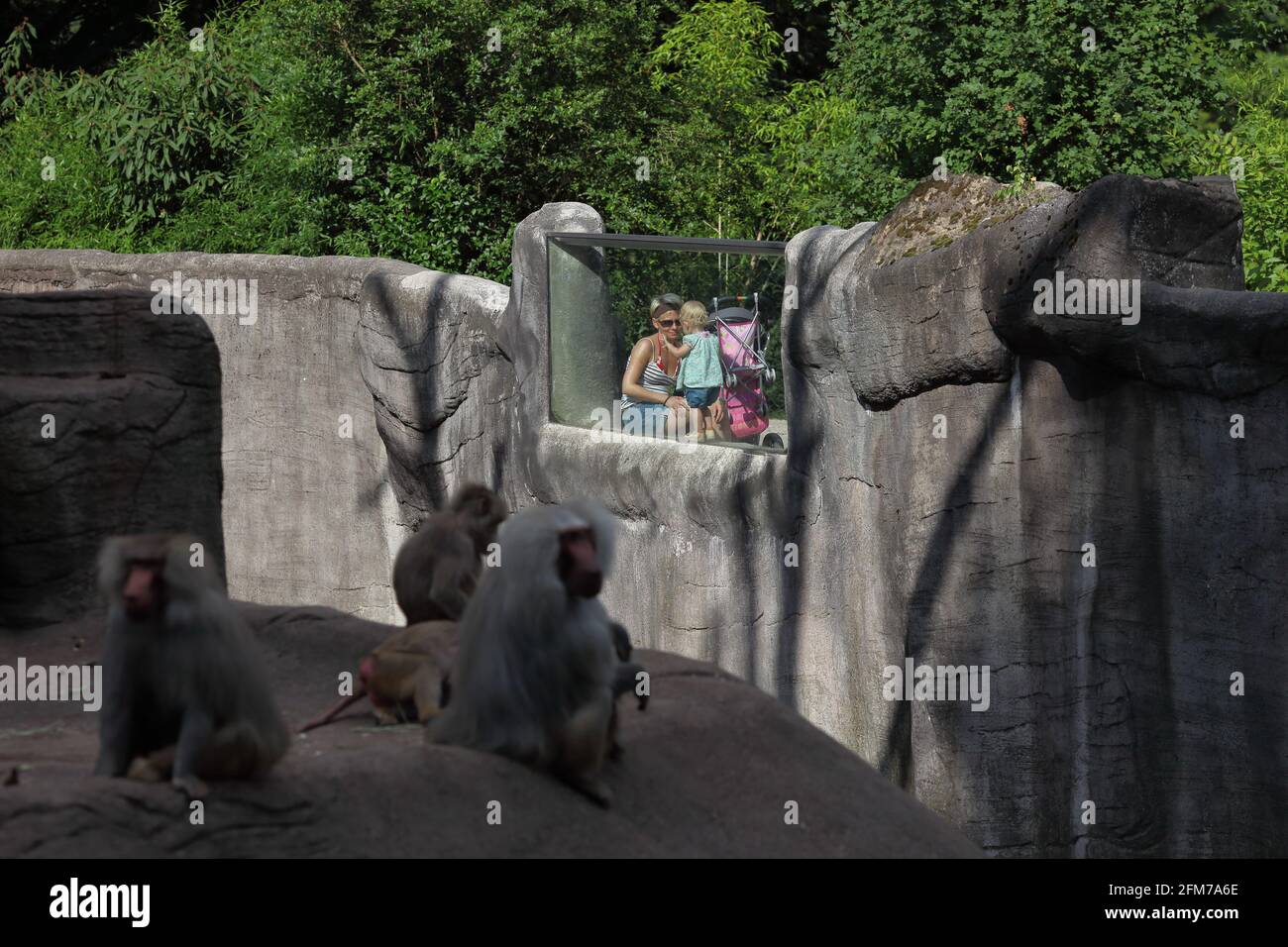 Baby und Morher beobachten Tiere im Zoo Stockfoto