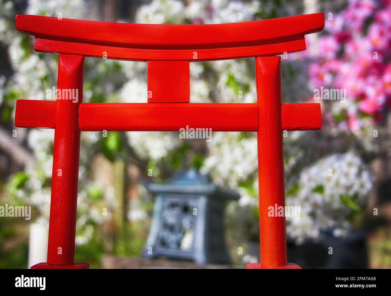 Torii-Tor mit Birnen- und Kirschblüten im Hintergrund Stockfoto