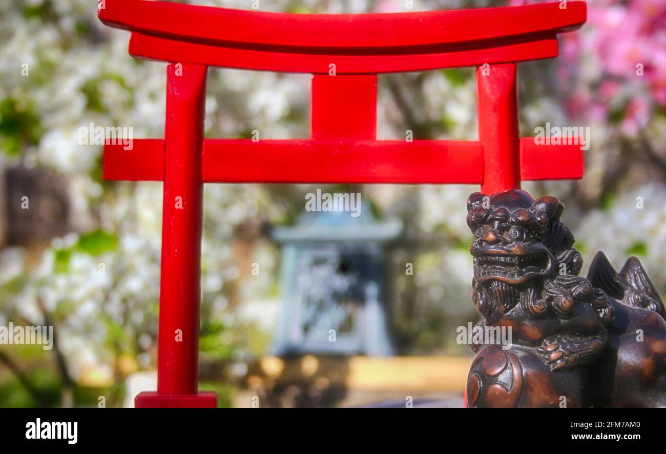 Torii-Tor mit Birnen- und Kirschblüten im Hintergrund Stockfoto