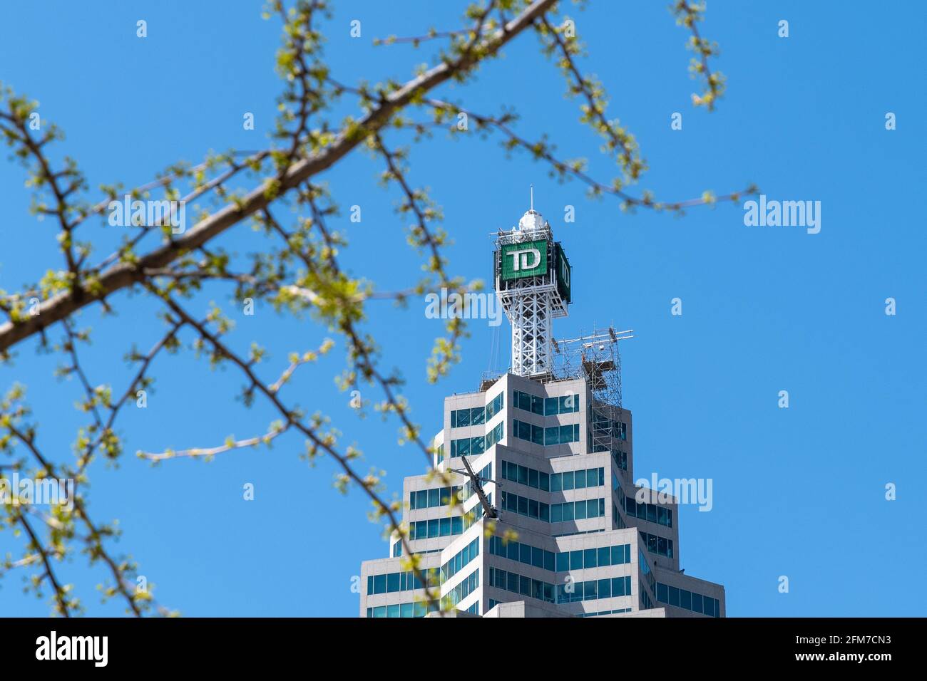 Die TD Bank unterzeichnet zu Beginn des Frühlings einen der Brookfield Place Tower, Toronto, Kanada Stockfoto