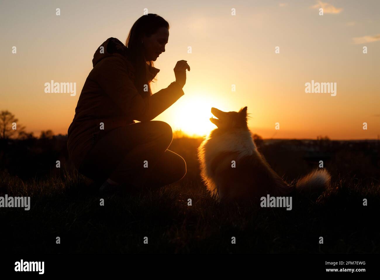 Trainieren Sie Ihr Haustier bei Sonnenuntergang. Die Freundschaft zwischen Besitzer und Hund. Stockfoto