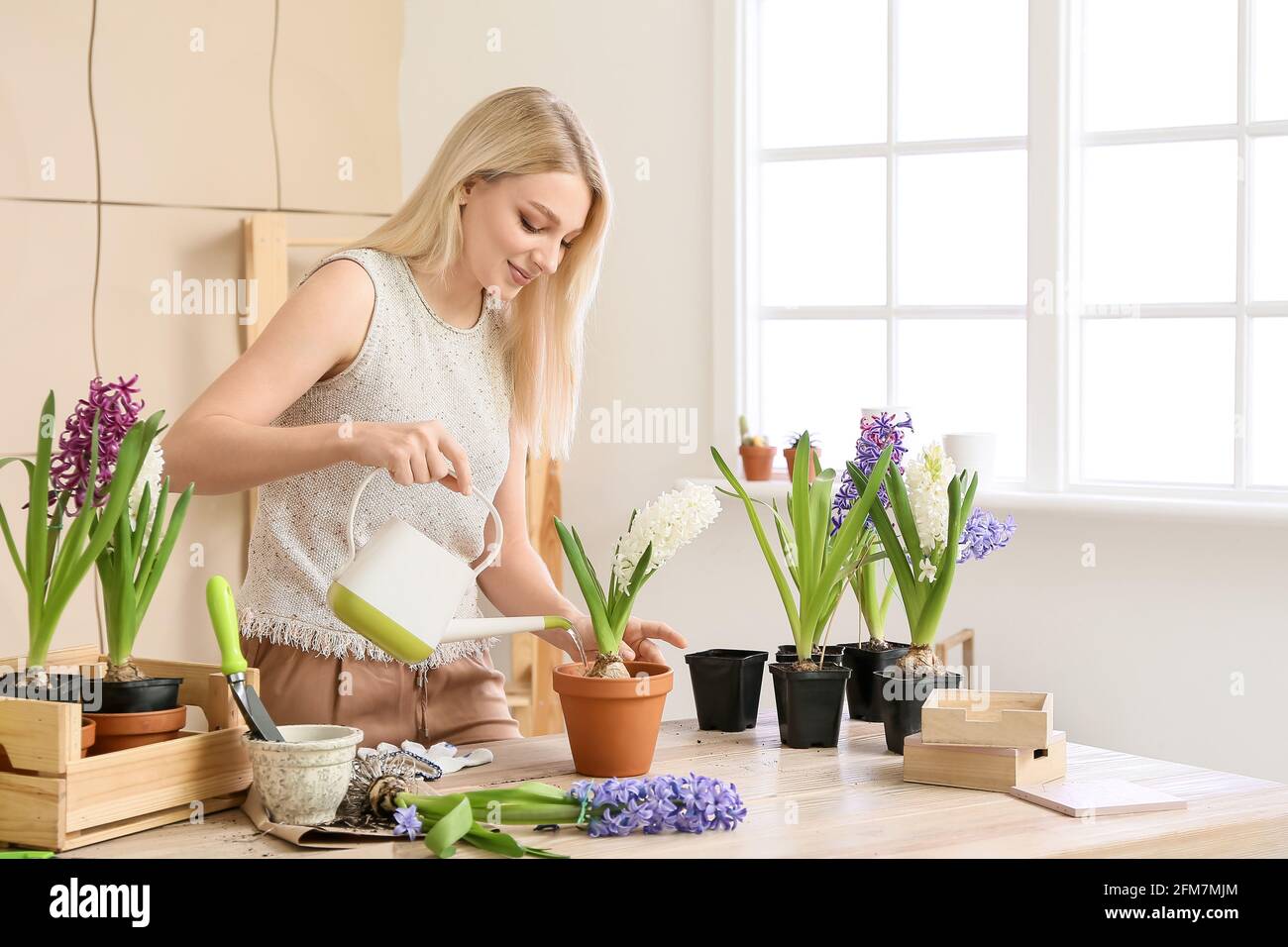 Gärtnerin, die sich zuhause um die Pflanzen kümmert Stockfoto