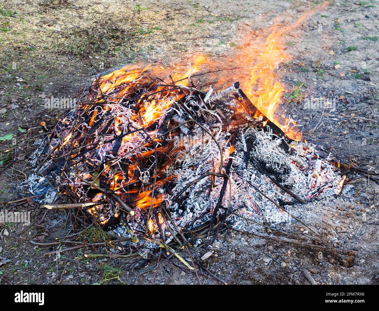Stapel frisch beschnitzter Äste brennen im ländlichen Garten Im Frühling Stockfoto