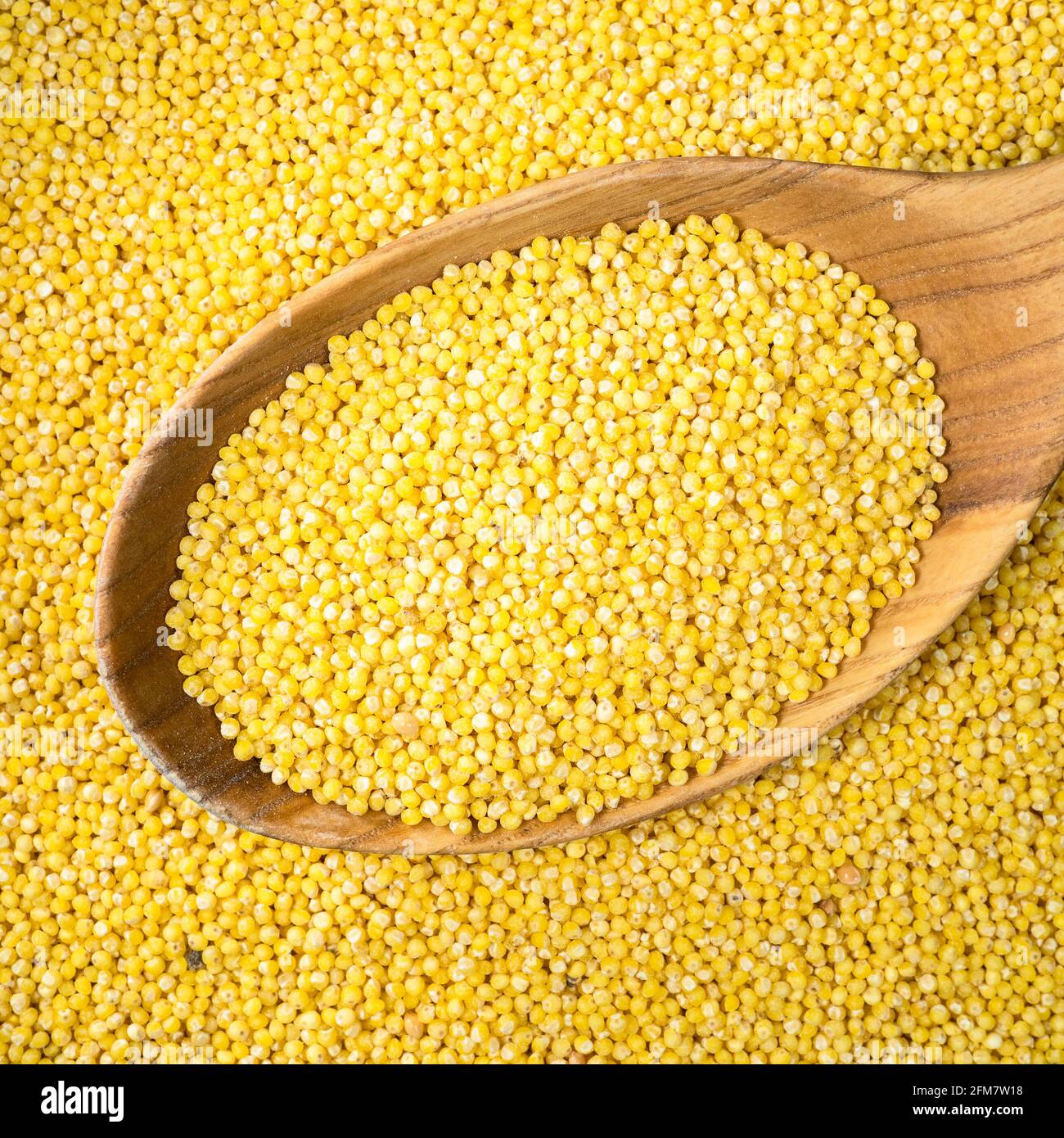 Draufsicht auf Hirsegroats von geschältem Proso Hirse in Holzlöffel Nahaufnahme Stockfoto