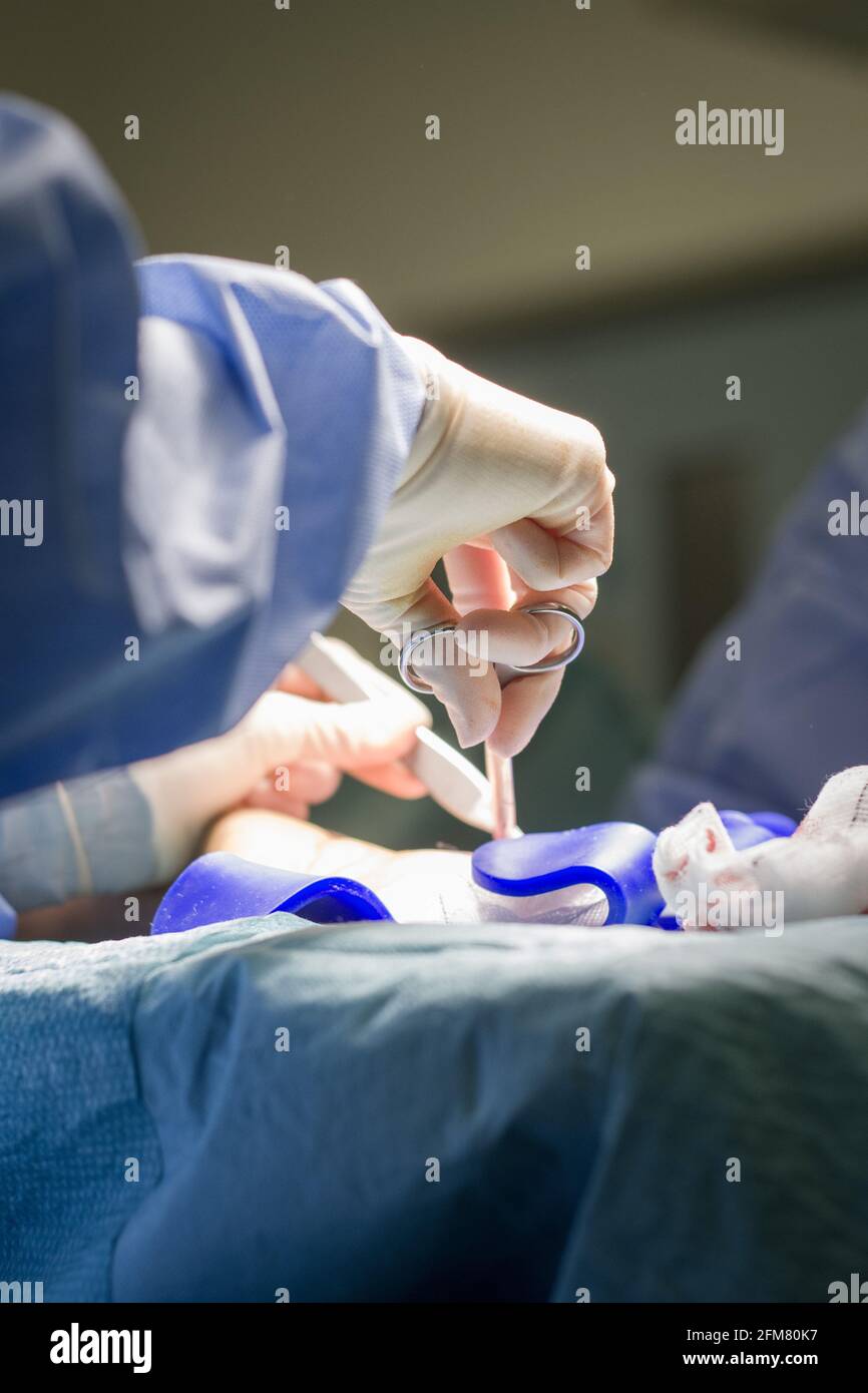 Operationsinstrumente im Einsatz während einer Operation. Stockfoto