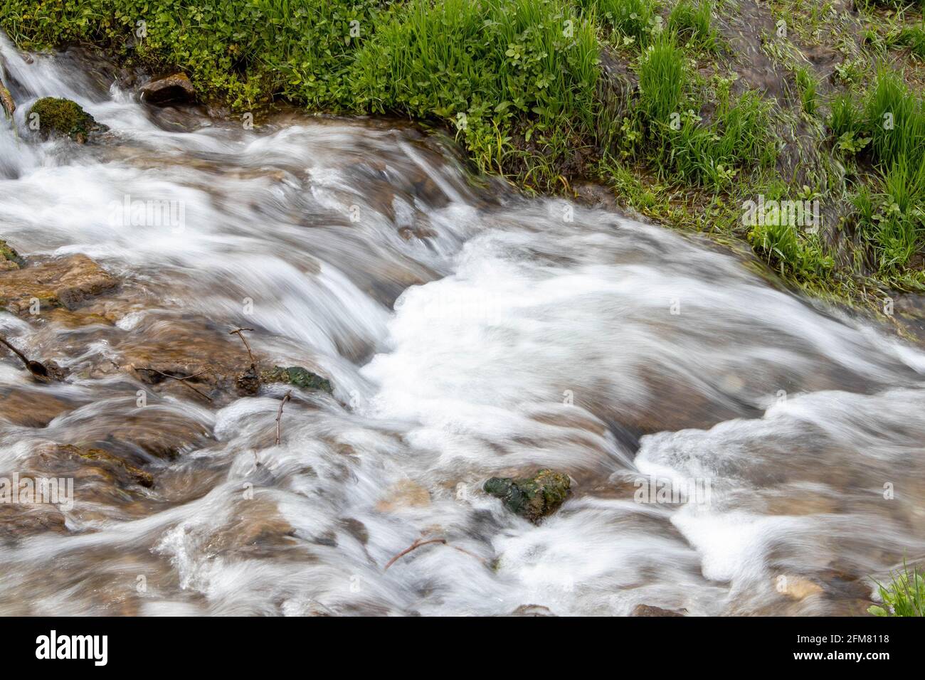 Tausendjähriger kalter Waldbach, Stromschnellen mit schnellem Fluss, lange Exposition Stockfoto