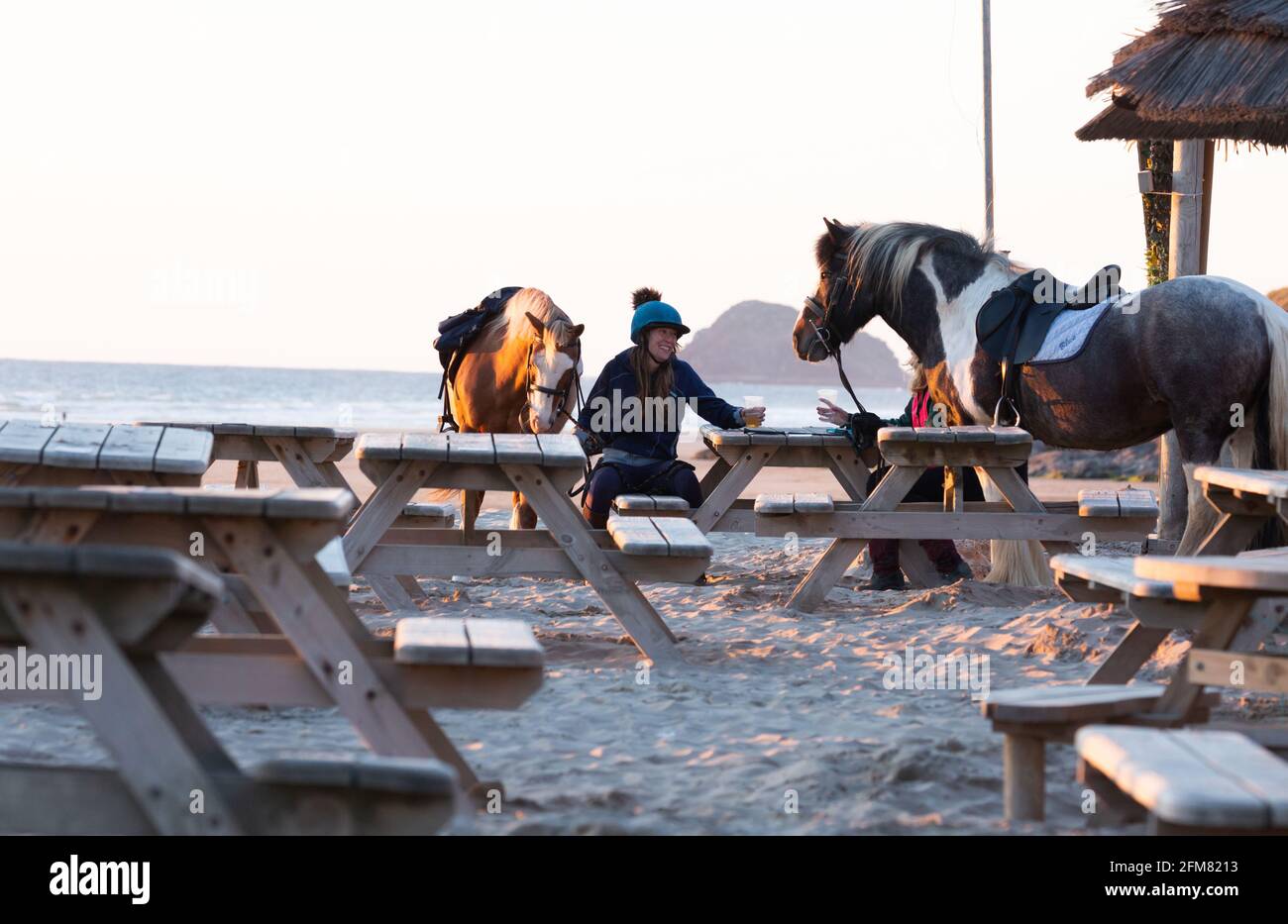 Pferde und ihre Reiter am Watering Hole bei Sonnenuntergang Am Perranporth Beach in Cornwall, Großbritannien Stockfoto