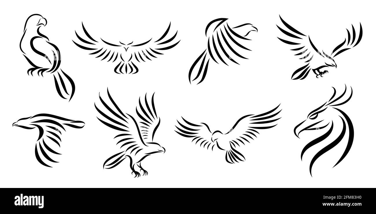 Satz von acht Linien Art Vektor-Logo des Adlers. Kann als Logo oder als Dekorationsartikel verwendet werden. Stock Vektor