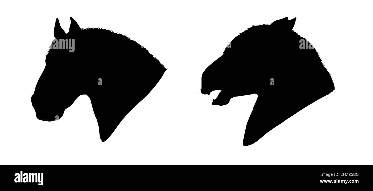 Wunderschöne Pferde. Silhouette Porträt eines Pferdes. Pferdezeichnung. Stockfoto