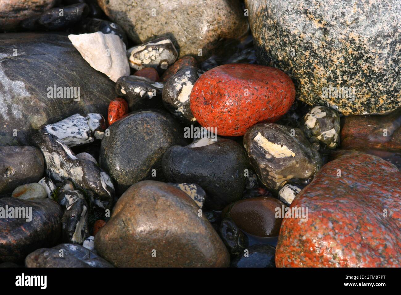 Nahaufnahme von bunten, nassen Steinen, Kreide und Kies an der Steilküste der Ostsee auf Rügen, Deutschland Stockfoto