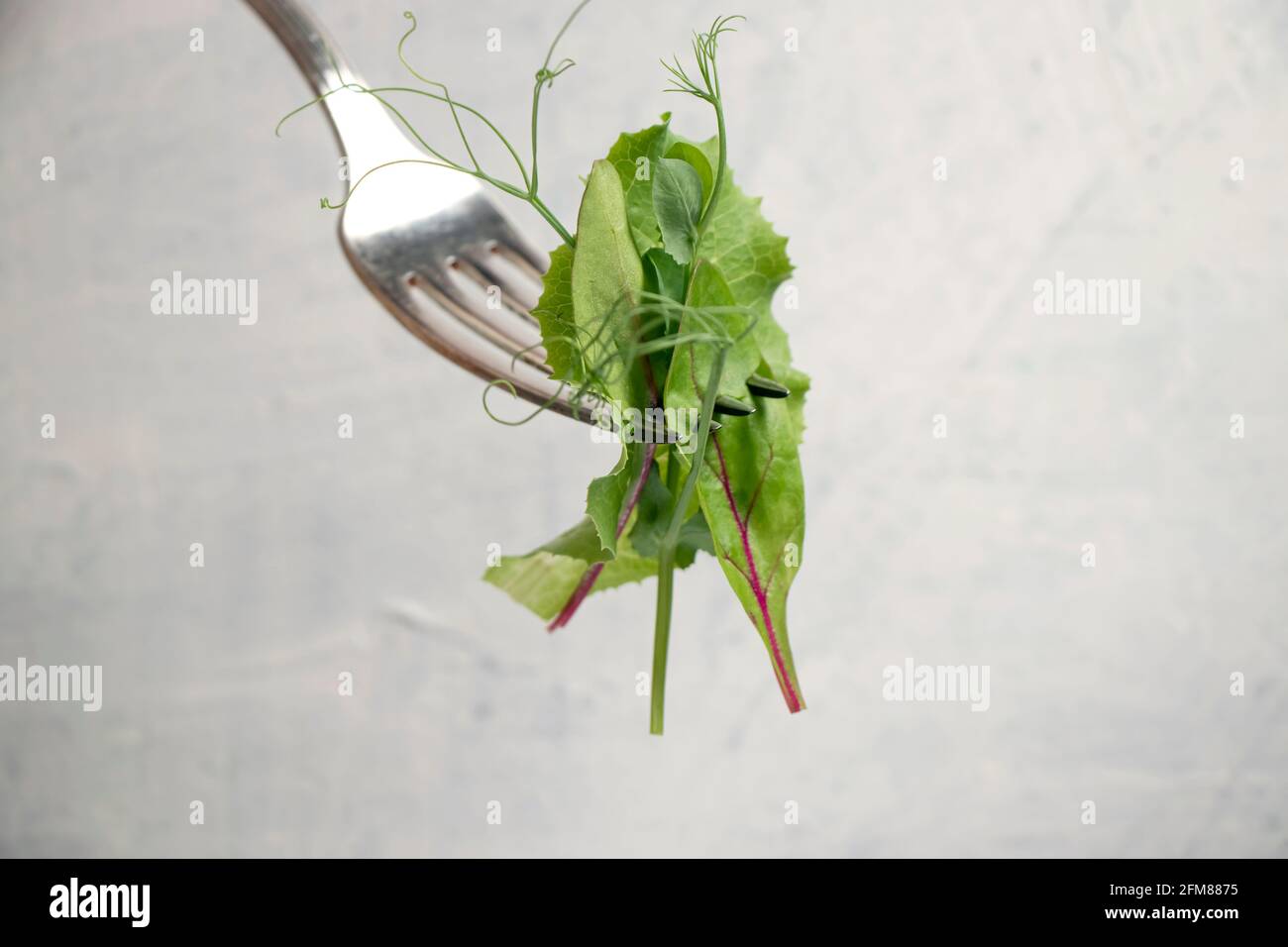 Gabel mit verschiedenen Salatsorten auf weißem Strukturtisch. Junge saftige Sprossen aus Erbsen oder Bohnen, Rübensprossen und grünem Salat. Gesundes Lebensmittelkonzept. Stockfoto