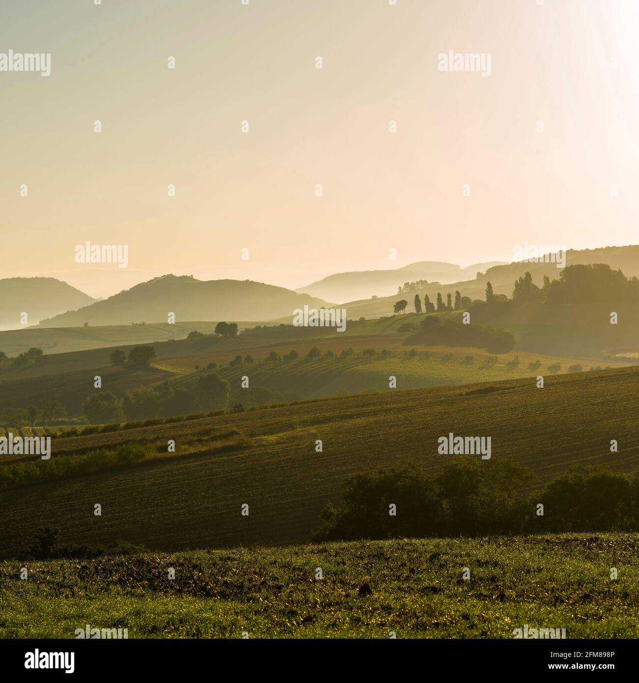 Blick auf die Auvergne Toskana im zentralen Teil der Limagne-Ebene, Puy de Dome, Auvergne Rhone Alpes, Frankreich Stockfoto