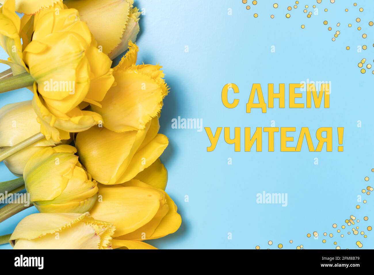 Horizontales Banner mit gelben Tulpenblüten auf blauem Hintergrund Mit der Inschrift zum russischen Happy Teacher's Day Stockfoto