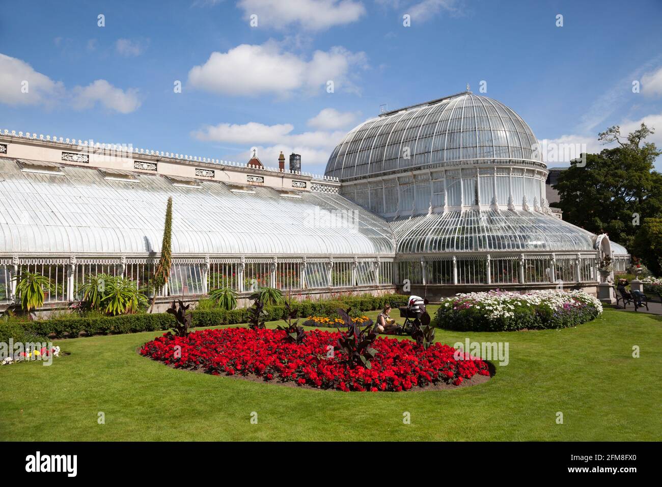 Das Gewächshaus im Botanischen Garten, Belfast, Nordirland, mit einem Garten mit Begonien. Stockfoto