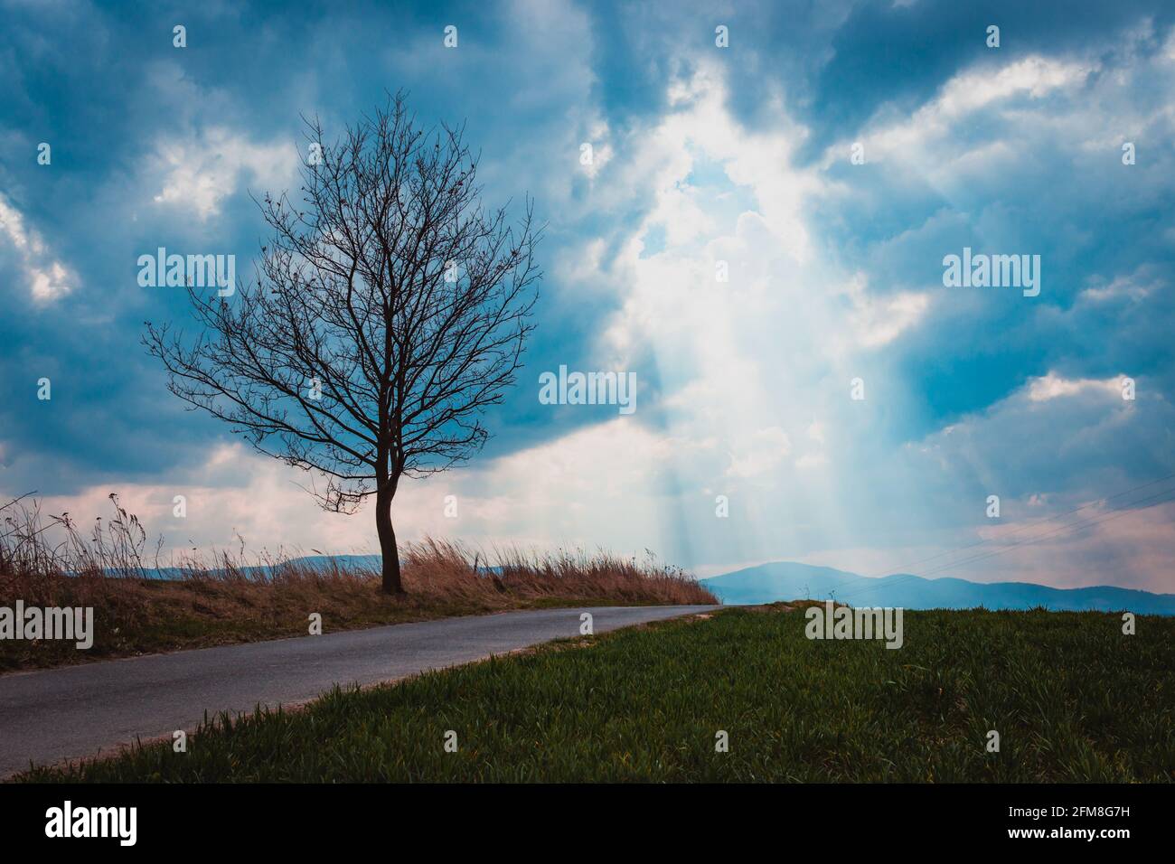 Eineinziger Baum in der Nähe der Bergstraße mit den Sonnenstrahlen Durchbrechen der Wolken Stockfoto