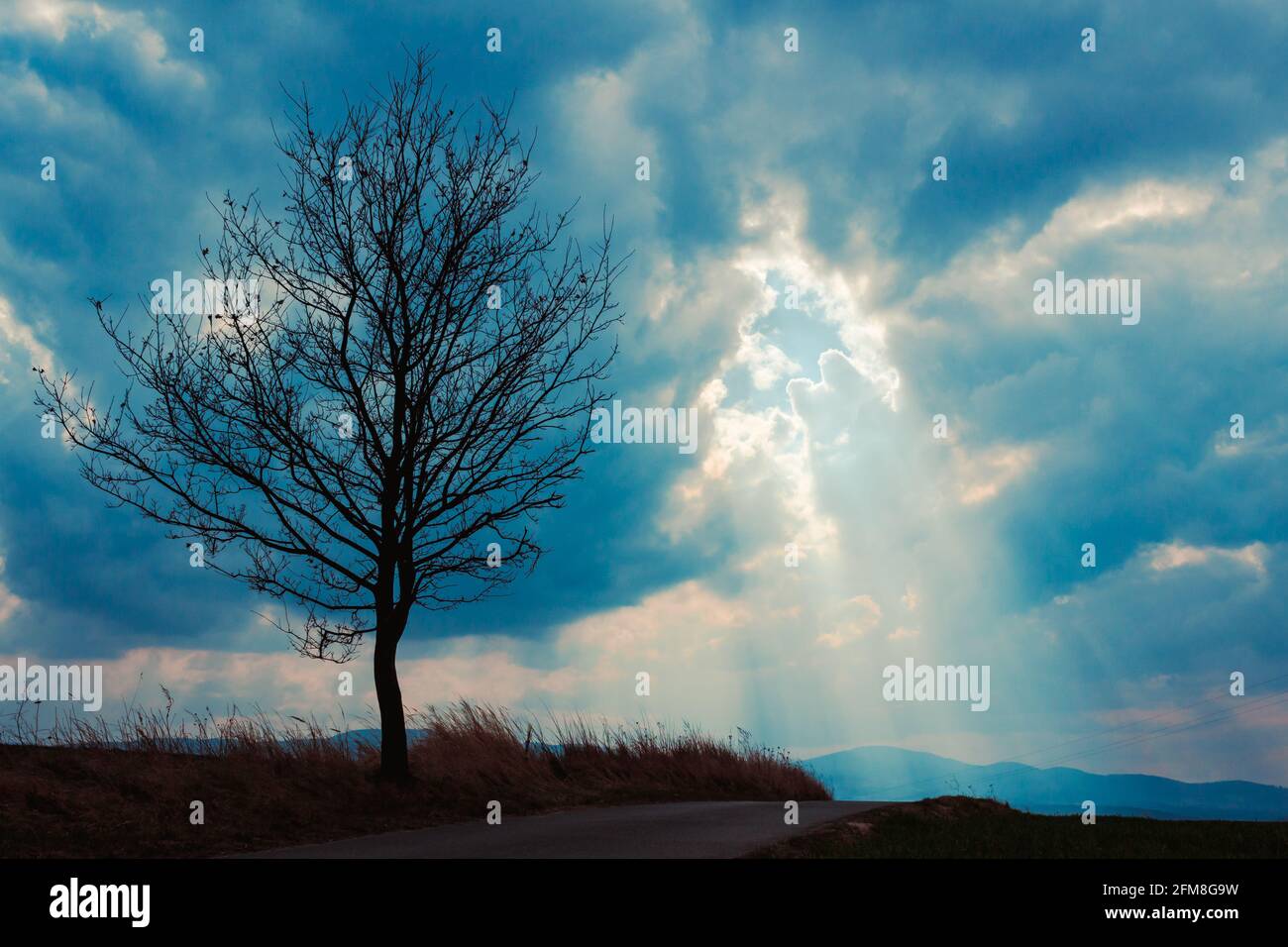 Eineinziger Baum in der Nähe der Bergstraße mit den Sonnenstrahlen Durchbrechen der Wolken Stockfoto