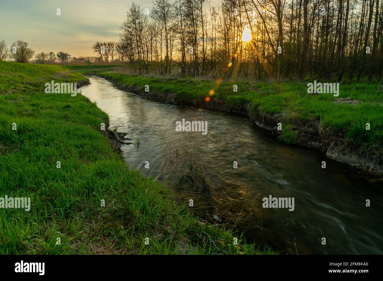 Ein kleiner Fluss mit einem grünen Ufer und einem Sonnenuntergang, Stankow, Polen Stockfoto