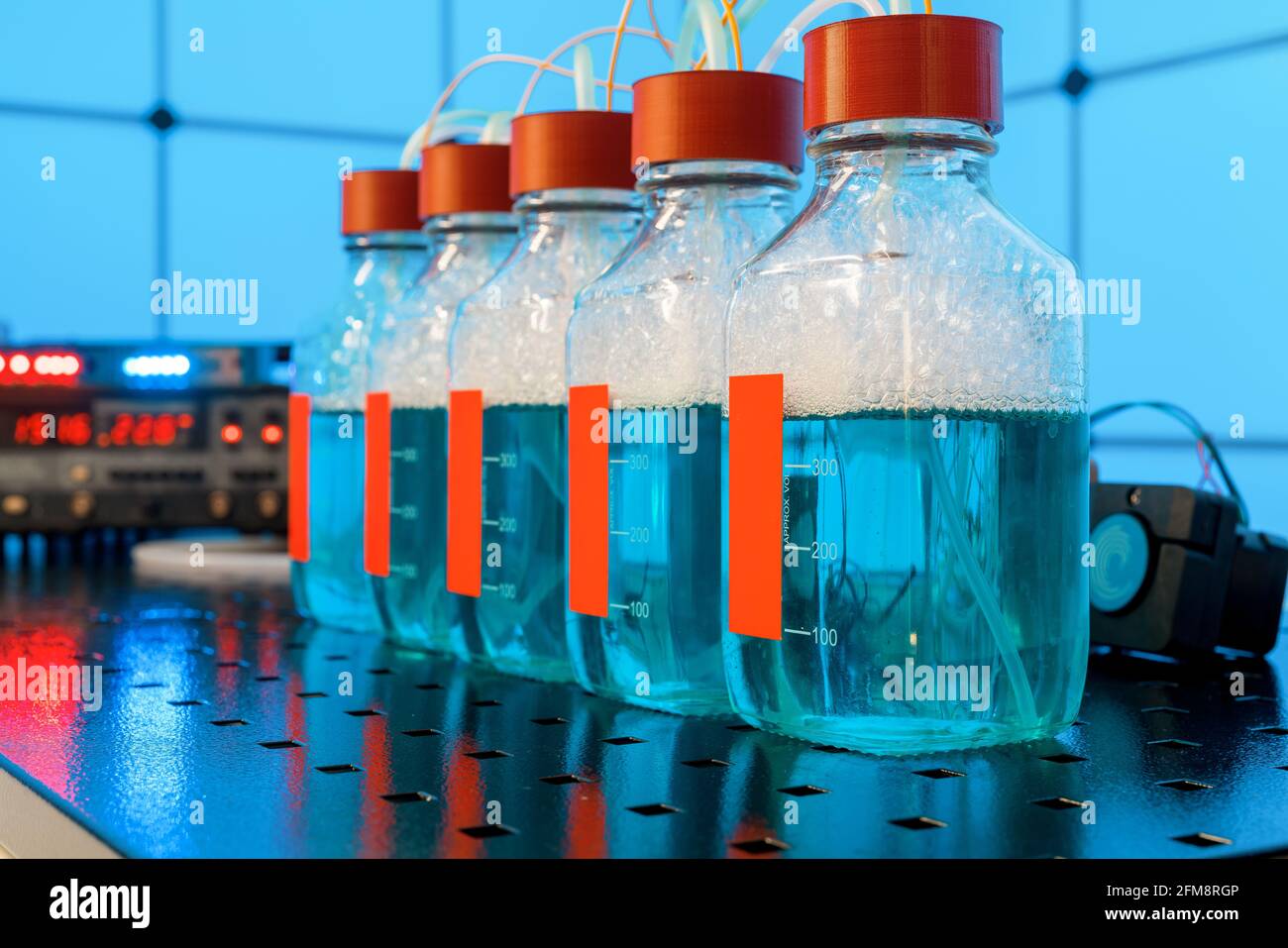 Biowasserstoff-Droduktionsforschung durch Fermentation. Die Fermentation von nachwachsenden Rohstoffen durch Bakterien erfolgt in der dunklen Gärung Resea Stockfoto