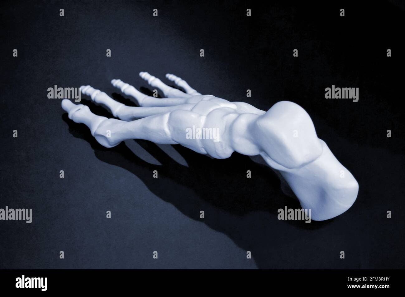 Weißer Prototyp des menschlichen Fußskeletts auf 3d gedruckt Drucker auf dunkler Oberfläche Stockfoto