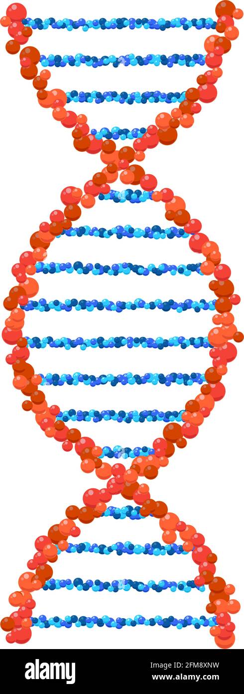 DNA-Spirale isoliert. Vector Deoxyribonukleinsäure Gen Teil Modell. Einfaches mikrobiologisch genetisches Helix-Struktursymbol auf weißem Hintergrund Stock Vektor