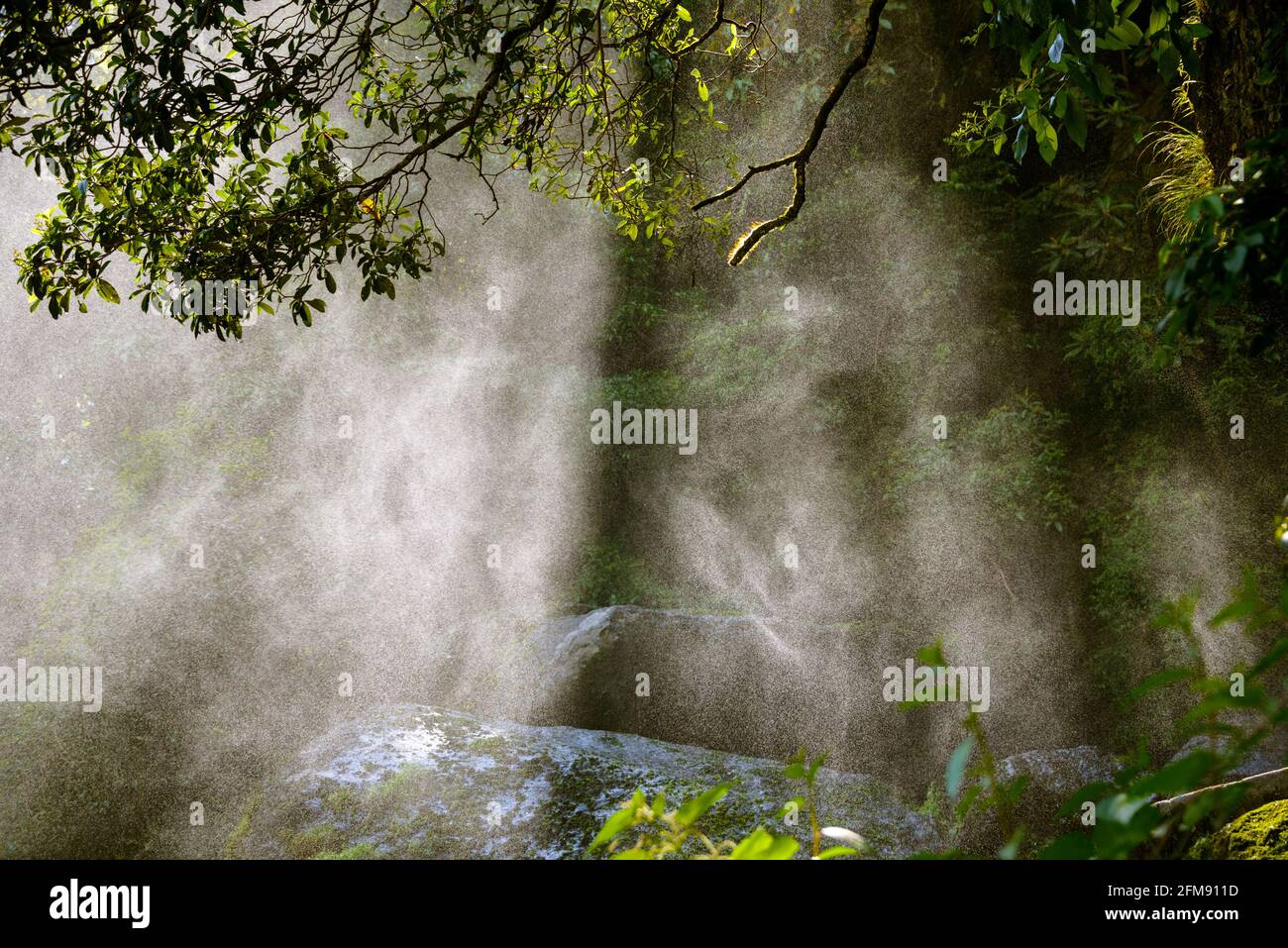 Hintergrundbeleuchtetes Wasserspray aus einem Wasserfall in einem Wald Stockfoto