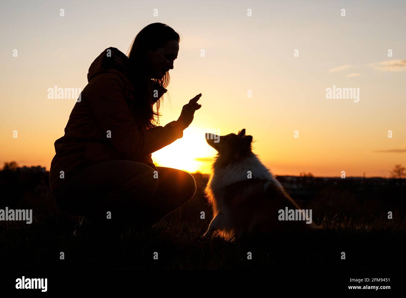 Der Besitzer trainiert seinen Hund. Training gehorsam während Sonnenuntergang. Stockfoto