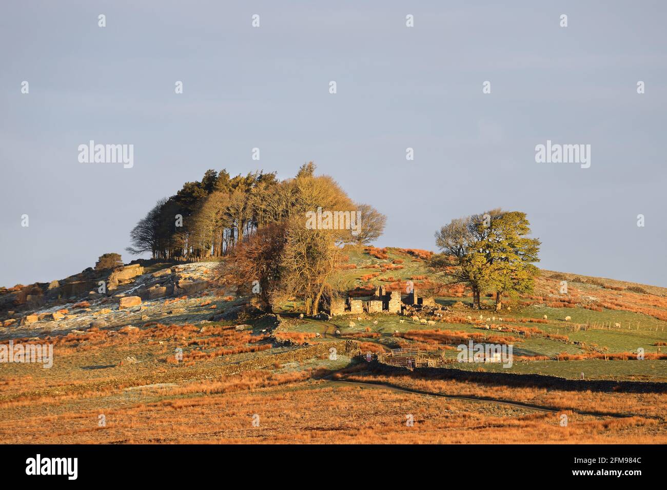 Morgenlicht, das die verlassene Farm von East Loups's auf dem Loups’s Hill, Teesdale, County Durham, Großbritannien, beleuchtet Stockfoto