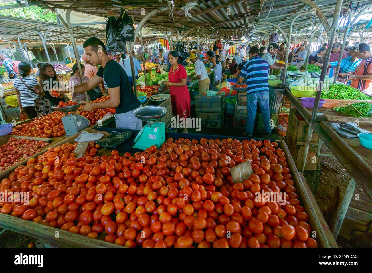Mauritius, Dezember 2015 - Lokale Käufer und Verkäufer auf einem traditionellen offenen Gemüsemarkt Stockfoto