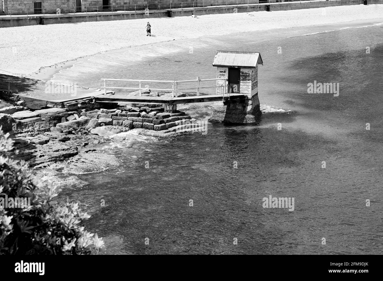 Watson’s Bay Beach, Sydney Stockfoto