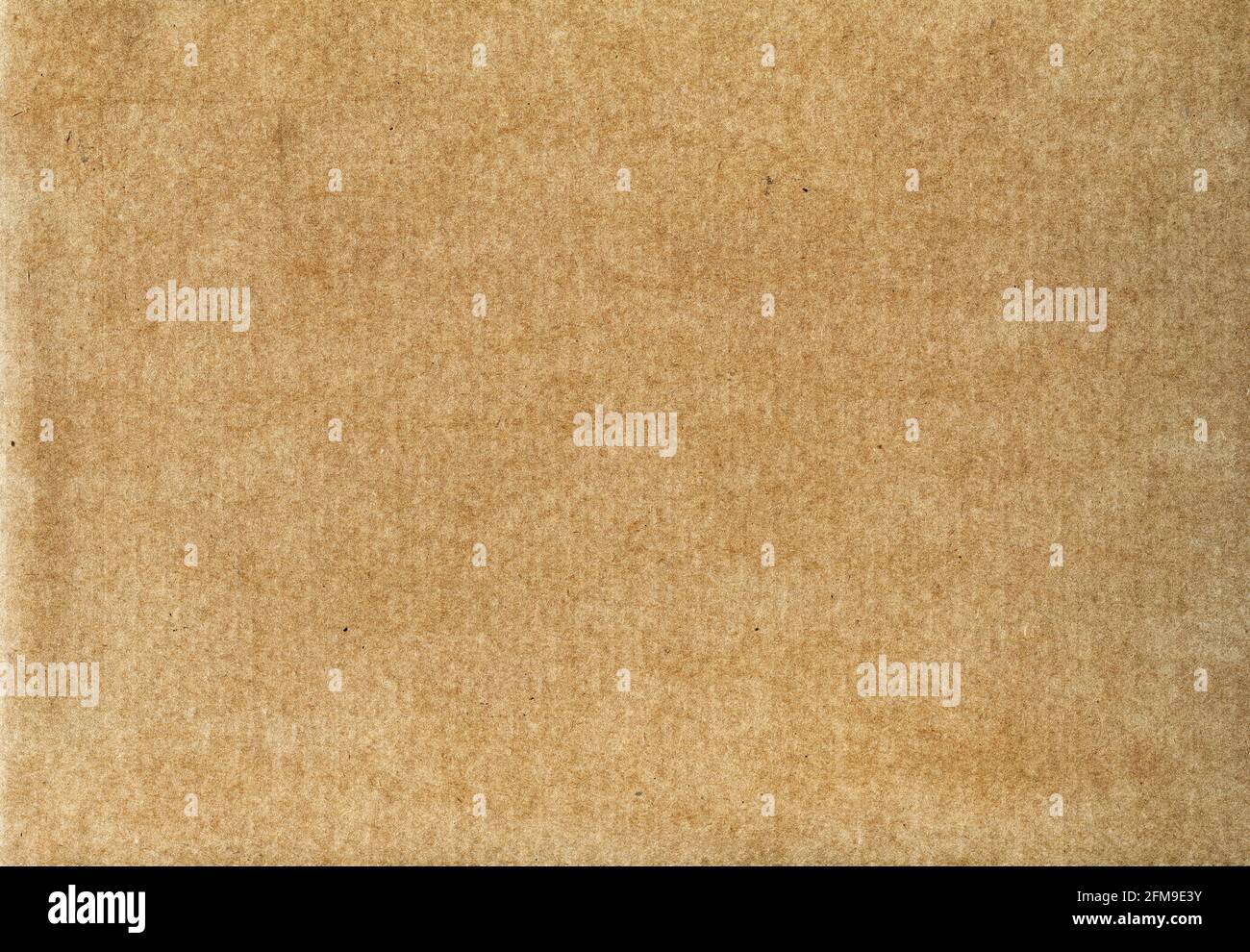 Leerer Papierkarton - Struktur oder Hintergrund aus recyceltem Papier - Perfekt im Detail Stockfoto