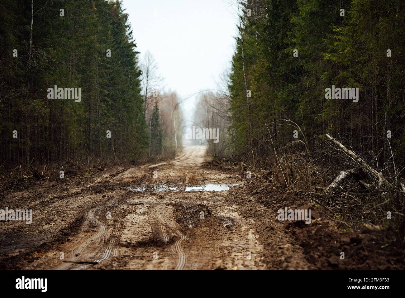 Ein Raupentraktor fährt durch eine Waldlichtung. Ein industrieller Bulldozer steckt im Schlamm fest. Lastwagen laufen im Boden Stockfoto