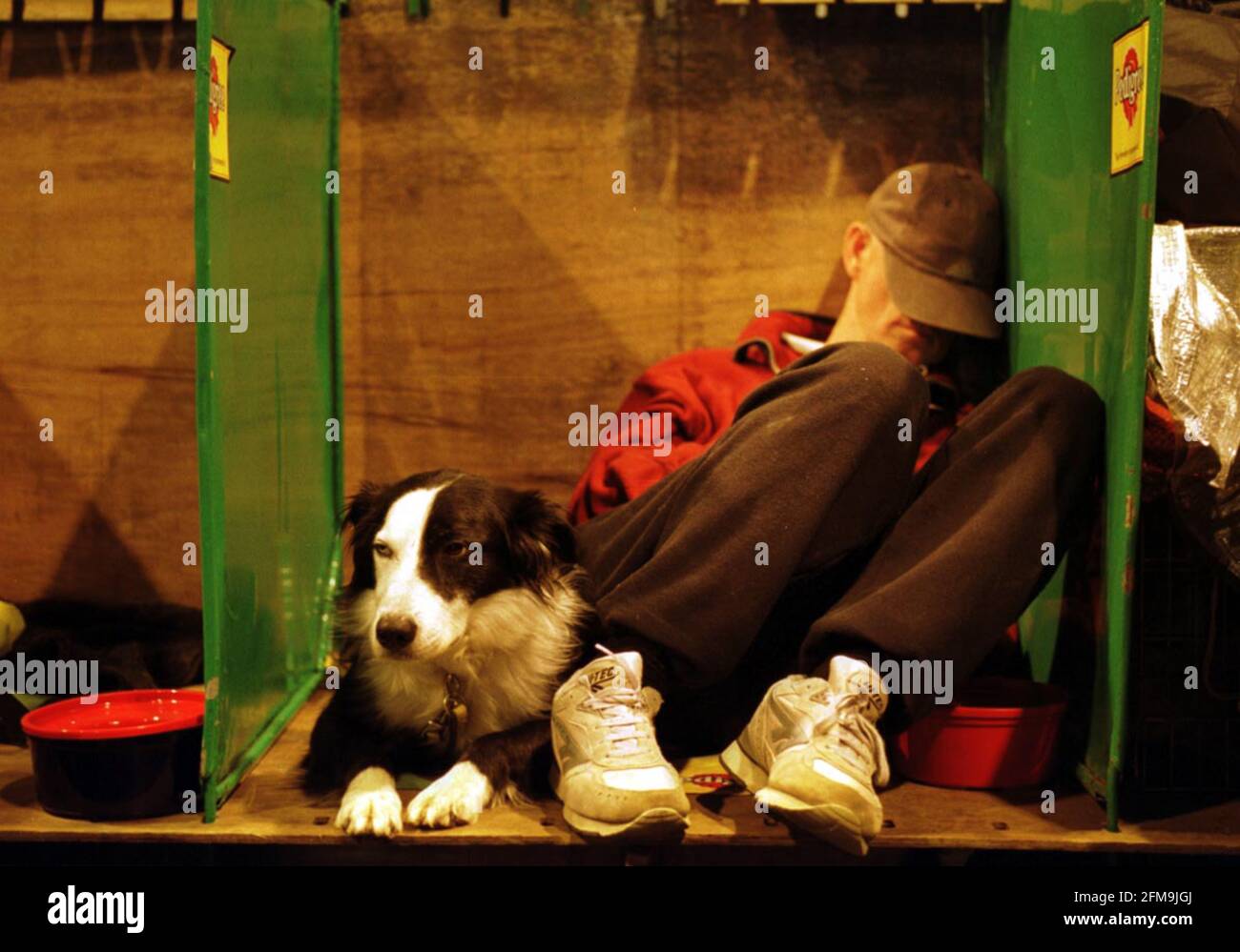 1. Tag der verschobenen Crufts-Hundeausstellung am 2001. Mai im NEC Birmingham. Dennis McAulay mit seinem arbeitenden Schäferhund Ned Stockfoto