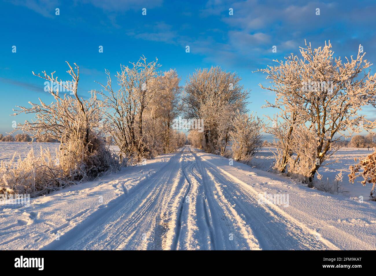 Sonnenaufgang in Wiesmoor, Eastfrisa an einem kalten Wintermorgen mit Schnee und einem bunten Sonnenaufgang. Stockfoto