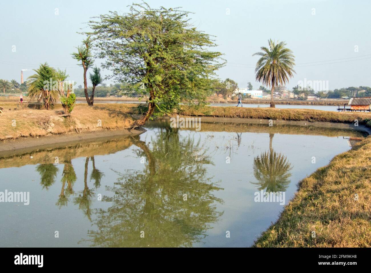 Ländliche Landschaft im Norden 24 Parganas West bengalen indien Stockfoto